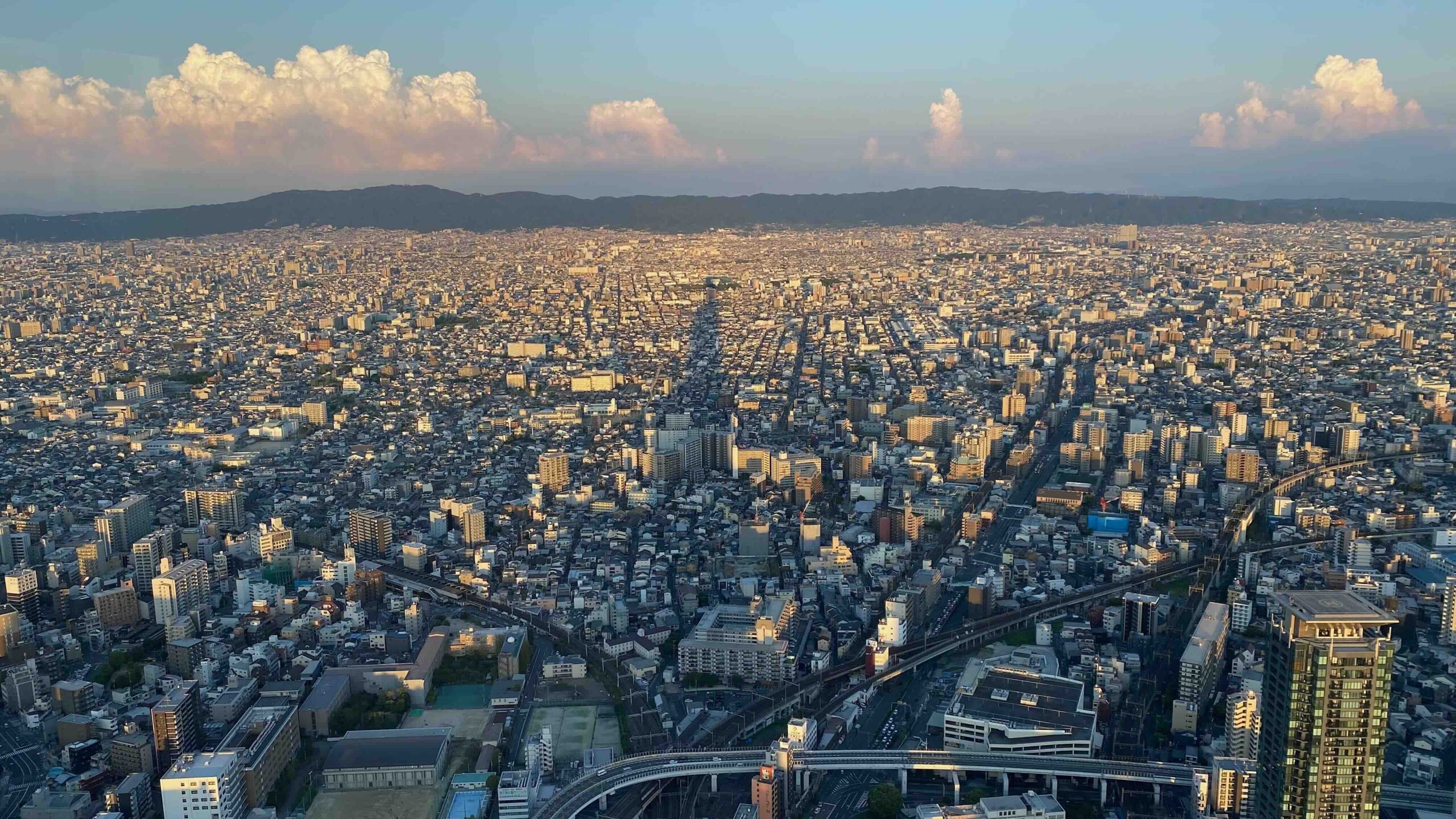 「外国人」と「孤独死」─誰にも看取られない悲劇の背景