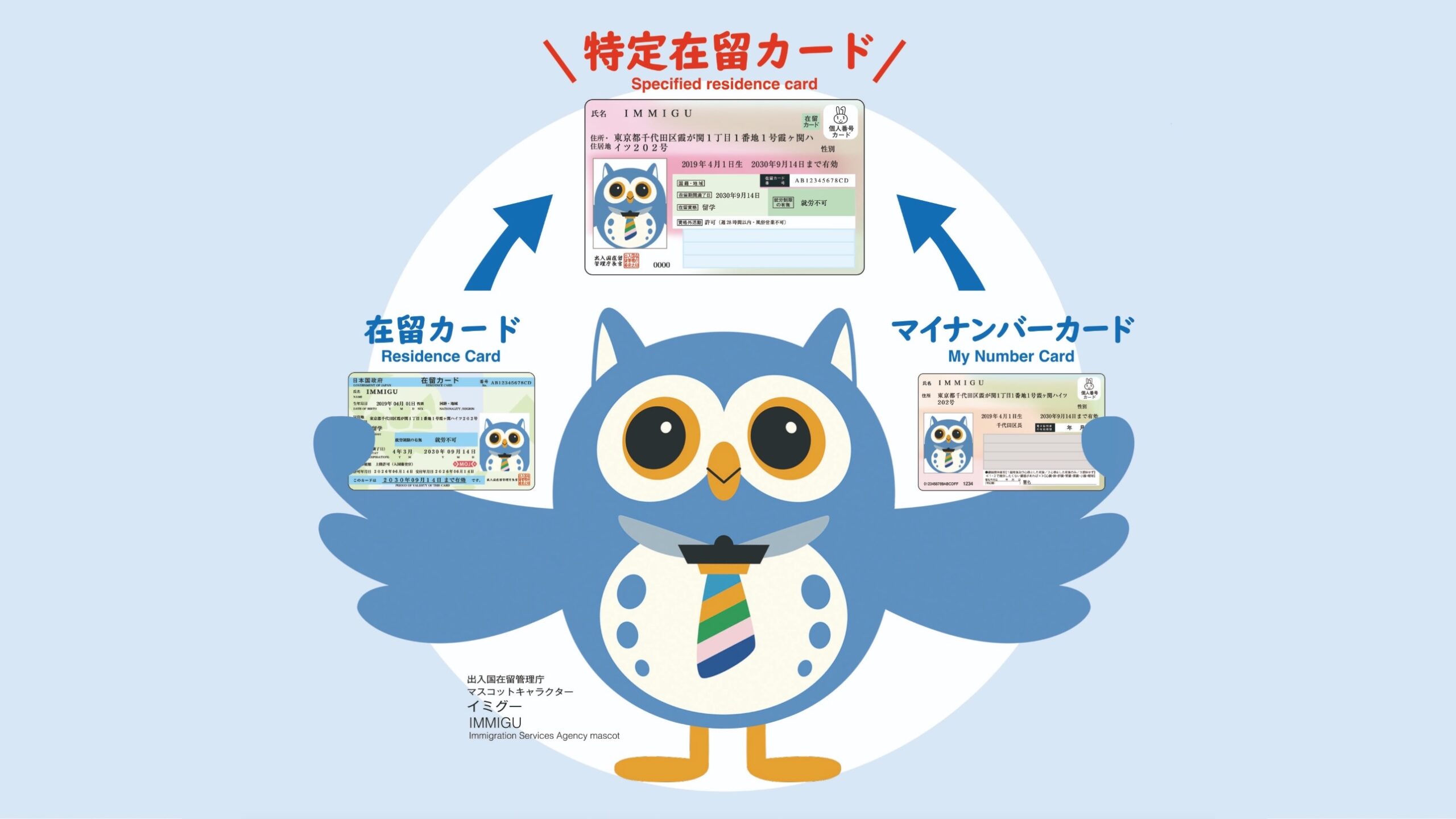 【6月運用開始予定】「特定在留カード」で何が変わるのか — 利便性を「安心」につなげる企業側の備え