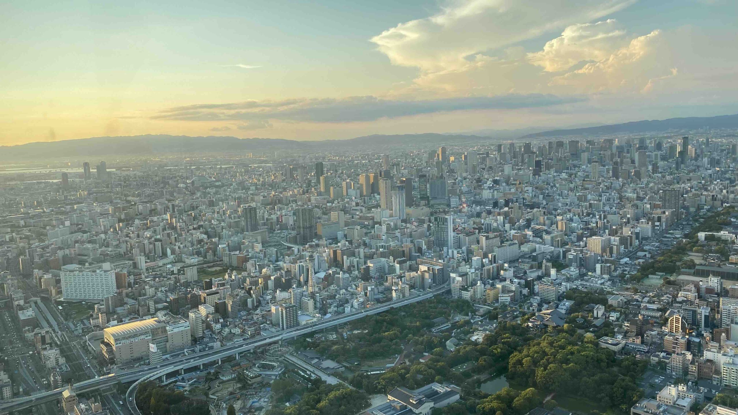 自然災害と外国人従業員　企業の防災体制を問い直す3月11日